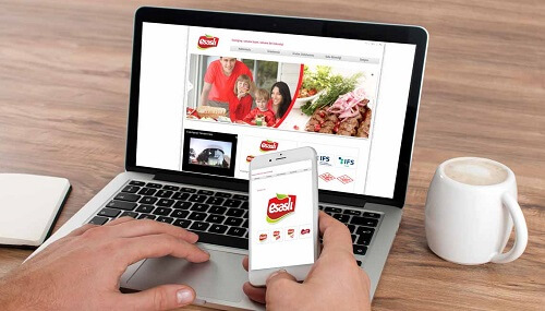 Esasli Grup Kurumsal Web Sayfası